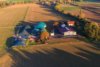 Vue aérienne de Aussiedlerhof Wagner GmbH avec installations de stockage de biogaz à Steinweiler dans le département Rhénanie-Palatinat, Allemagne