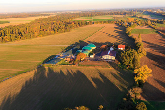 Photographie aérienne de Aussiedlerhof Wagner GmbH avec installations de stockage de biogaz à Steinweiler dans le département Rhénanie-Palatinat, Allemagne