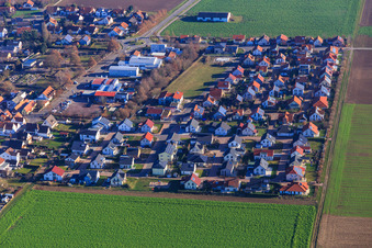 Vue aérienne de Lindenweg x Siedlerweg à Steinweiler dans le département Rhénanie-Palatinat, Allemagne