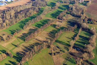 Vue aérienne de Prairies à Klingbach à Steinweiler dans le département Rhénanie-Palatinat, Allemagne