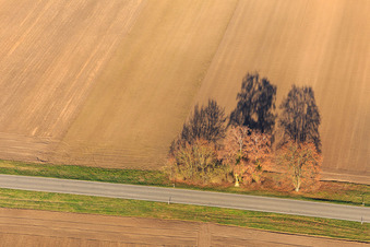 Vue aérienne de Hatzenbühl à le quartier Hayna in Herxheim bei Landau dans le département Rhénanie-Palatinat, Allemagne