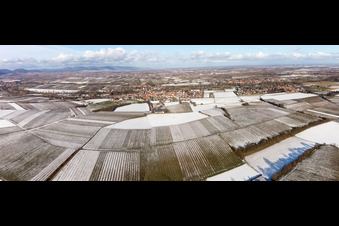 Image drone de Quartier Ingenheim in Billigheim-Ingenheim dans le département Rhénanie-Palatinat, Allemagne