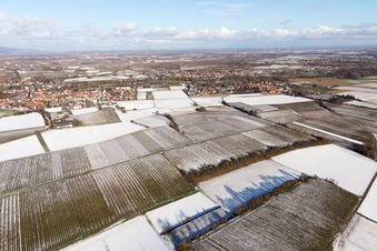 Quartier Ingenheim in Billigheim-Ingenheim dans le département Rhénanie-Palatinat, Allemagne du point de vue du drone