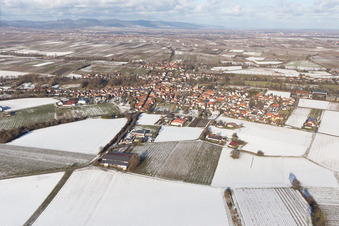 Photographie aérienne de Quartier Ingenheim in Billigheim-Ingenheim dans le département Rhénanie-Palatinat, Allemagne