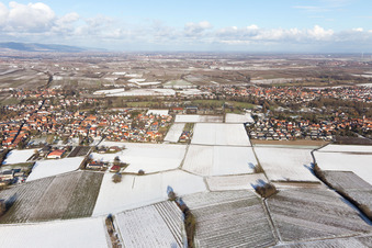 Vue oblique de Quartier Ingenheim in Billigheim-Ingenheim dans le département Rhénanie-Palatinat, Allemagne