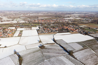 Quartier Ingenheim in Billigheim-Ingenheim dans le département Rhénanie-Palatinat, Allemagne d'en haut
