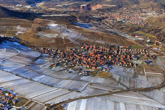 Vue aérienne de Châtaignier à Birkweiler dans le département Rhénanie-Palatinat, Allemagne