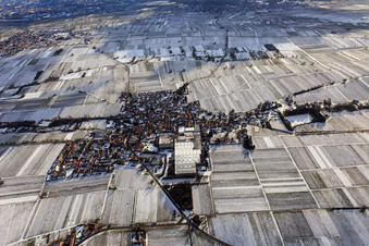 Vue aérienne de Vue d'un village viticole en hiver entre des vignes enneigées depuis le nord à Böchingen dans le département Rhénanie-Palatinat, Allemagne