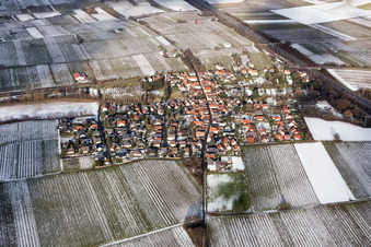 Vue aérienne de Champs agricoles et terres agricoles enneigés en hiver à Knöringen dans le département Rhénanie-Palatinat, Allemagne