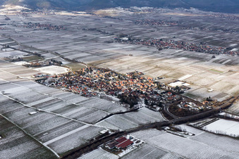 Vue aérienne de Champs agricoles et terres agricoles enneigés en hiver à Walsheim dans le département Rhénanie-Palatinat, Allemagne