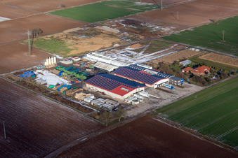 Vue d'oiseau de Quartier Niederhochstadt in Hochstadt dans le département Rhénanie-Palatinat, Allemagne