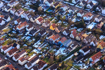 Vue aérienne de Route forestière en hiver avec neige à Kandel dans le département Rhénanie-Palatinat, Allemagne