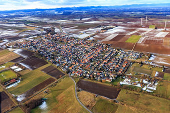 Vue aérienne de Vue d'ensemble du village en hiver avec peu de neige du sud-est à Minfeld dans le département Rhénanie-Palatinat, Allemagne
