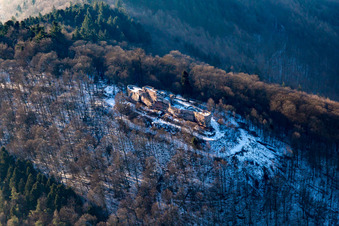 Photographie aérienne de Ruines du Höhnburg médiéval Wegelnburg à Schönau dans le département Rhénanie-Palatinat, Allemagne
