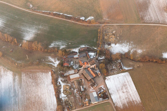 Vue d'oiseau de Quartier Schaidt in Wörth am Rhein dans le département Rhénanie-Palatinat, Allemagne