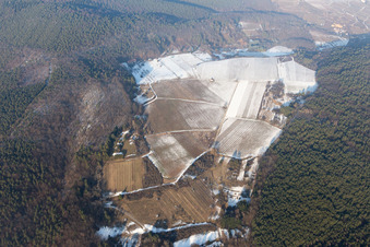 Vue aérienne de Haardtrand-Wolfsteig sous la neige à Pleisweiler-Oberhofen dans le département Rhénanie-Palatinat, Allemagne