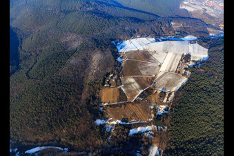 Vue aérienne de Haardtrand-Wolfsteig sous la neige à Pleisweiler-Oberhofen dans le département Rhénanie-Palatinat, Allemagne