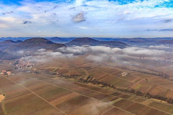 Vue aérienne de Vue du village au bord du Haardt en hiver avec des nuages bas venant de l'est à Leinsweiler dans le département Rhénanie-Palatinat, Allemagne