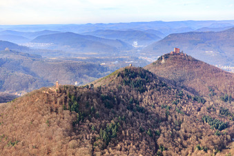 Vue aérienne de Les quatre ruines du château de Scharfenberg, Jungturm, Anebos et le château de Trifels en hiver depuis le sud-est à Leinsweiler dans le département Rhénanie-Palatinat, Allemagne