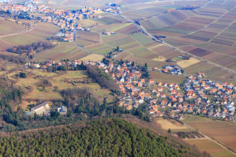 Vue aérienne de Vue du village au bord du Haardt depuis l'ouest avec MVZ Landau GmbH à Gleisweiler dans le département Rhénanie-Palatinat, Allemagne