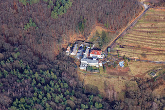 Vue aérienne de Domaine viticole de Sankt Annaberg à Burrweiler dans le département Rhénanie-Palatinat, Allemagne