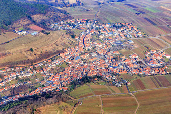 Vue aérienne de Village viticole en hiver vu du sud-ouest à le quartier SaintMartin in Sankt Martin dans le département Rhénanie-Palatinat, Allemagne