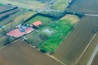 Vue aérienne de Aussiedlerhof Michael Schwager à Schambach à Herxheim bei Landau dans le département Rhénanie-Palatinat, Allemagne
