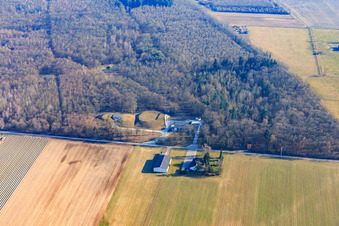 Vue aérienne de Station d'eau Gernsheim à la lisière de la forêt à Gernsheim dans le département Hesse, Allemagne