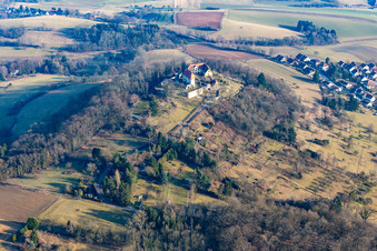 Vue aérienne de Château Reichelsheim à Reichelsheim dans le département Hesse, Allemagne