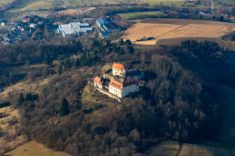 Photographie aérienne de Château Reichelsheim à Reichelsheim dans le département Hesse, Allemagne