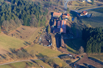 Vue aérienne de La culture des arbres de Noël à Hilsighof - coupez vos propres arbres à le quartier Hammelbach in Grasellenbach dans le département Hesse, Allemagne