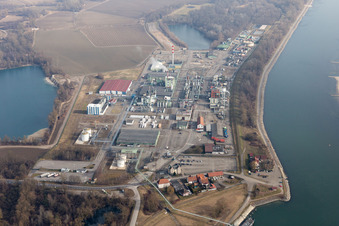 Lauterbourg dans le département Bas Rhin, France du point de vue du drone