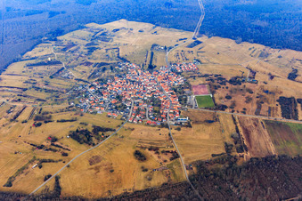 Vue aérienne de Village situé dans une clairière de la forêt de Bienwald au sud à le quartier Büchelberg in Wörth am Rhein dans le département Rhénanie-Palatinat, Allemagne