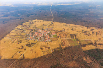 Vue aérienne de Village situé dans une clairière de la forêt de Bienwald au sud à le quartier Büchelberg in Wörth am Rhein dans le département Rhénanie-Palatinat, Allemagne