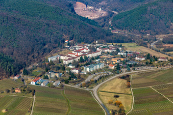 Vue aérienne de Clinique du Palatinat à Klingenmünster dans le département Rhénanie-Palatinat, Allemagne