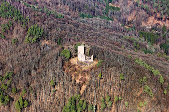 Vue aérienne de Ruines et vestiges des murs de l'ancien complexe du château de Ramburg à Ramberg dans le département Rhénanie-Palatinat, Allemagne