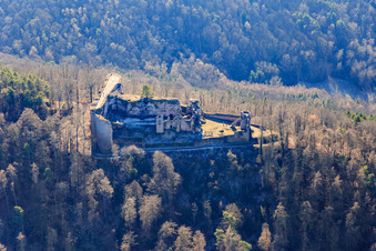 Vue aérienne de Ruines du château de Neuscharfeneck à Flemlingen dans le département Rhénanie-Palatinat, Allemagne
