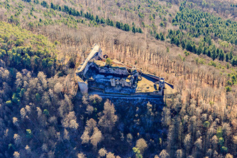 Photographie aérienne de Ruines du château de Neuscharfeneck à Flemlingen dans le département Rhénanie-Palatinat, Allemagne