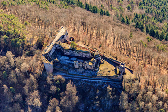Vue oblique de Ruines du château de Neuscharfeneck à Flemlingen dans le département Rhénanie-Palatinat, Allemagne