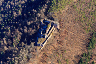 Ruines du château de Neuscharfeneck à Flemlingen dans le département Rhénanie-Palatinat, Allemagne d'en haut