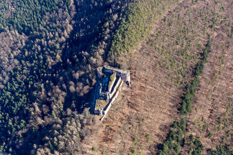 Vue aérienne de Ruines et vestiges des murs de l'ancien complexe du château et du château de Neuscharfeneck à Ramberg dans le département Rhénanie-Palatinat, Allemagne