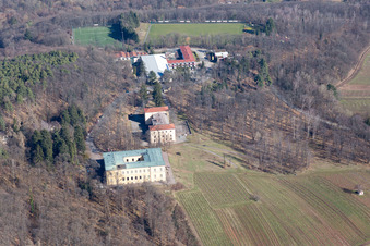 Vue aérienne de Château de la Villa Ludwigshöhe à Edenkoben dans le département Rhénanie-Palatinat, Allemagne