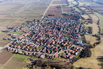Champs agricoles et terres agricoles à Venningen dans le département Rhénanie-Palatinat, Allemagne vue d'en haut