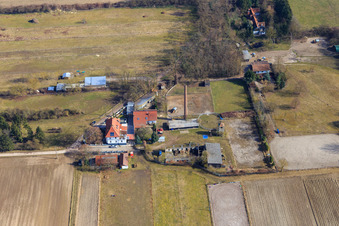 Photographie aérienne de Centre équestre Spieß à Harthausen dans le département Rhénanie-Palatinat, Allemagne