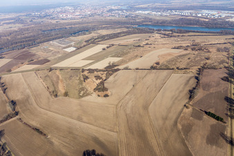 Vue aérienne de Île de Flotzgrün avec décharge BASF à le quartier Mechtersheim in Römerberg dans le département Rhénanie-Palatinat, Allemagne