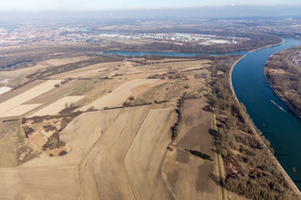 Vue aérienne de Île de Flotzgrün avec décharge BASF à le quartier Mechtersheim in Römerberg dans le département Rhénanie-Palatinat, Allemagne