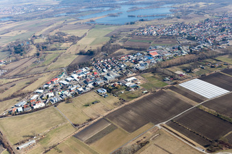 Quartier Oberhausen in Oberhausen-Rheinhausen dans le département Bade-Wurtemberg, Allemagne d'en haut