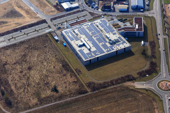 Vue aérienne de Zone industrielle de Nordring avec DBK David + Baader GmbH à Rülzheim dans le département Rhénanie-Palatinat, Allemagne