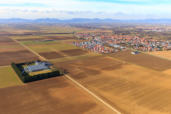 Vue aérienne de Vue du village depuis le sud-est à Steinweiler dans le département Rhénanie-Palatinat, Allemagne