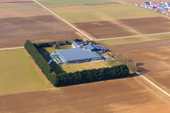 Vue aérienne de Sudetenhof en hiver à Steinweiler dans le département Rhénanie-Palatinat, Allemagne